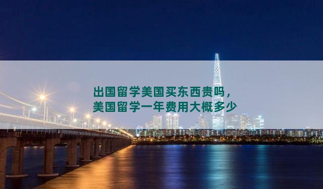 出国留学美国买东西贵吗，美国留学一年费用大概多少