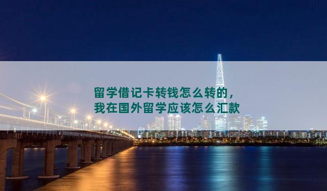 留学借记卡转钱怎么转的，我在国外留学应该怎么汇款