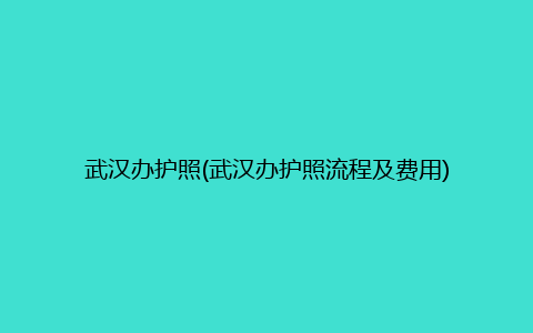 武汉办护照(武汉办护照流程及费用)