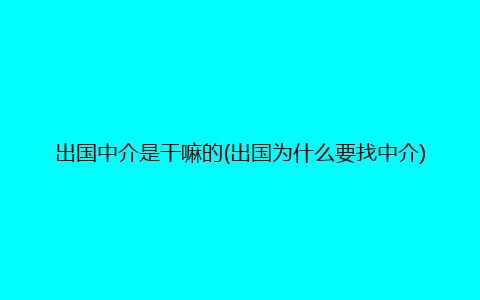 出国中介是干嘛的(出国为什么要找中介)