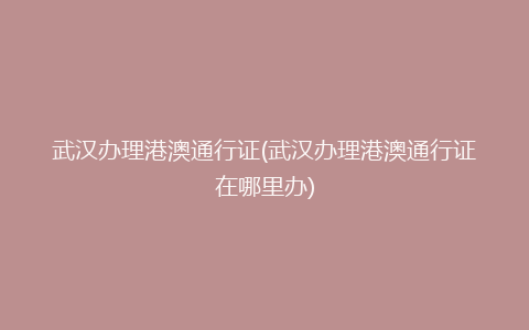 武汉办理港澳通行证(武汉办理港澳通行证在哪里办)