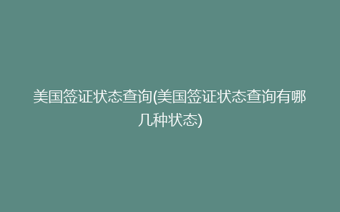 美国签证状态查询(美国签证状态查询有哪几种状态)