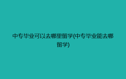 中专毕业可以去哪里留学(中专毕业能去哪留学)