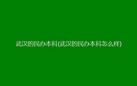 武汉的民办本科(武汉的民办本科怎么样)