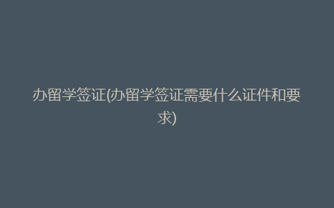 办留学签证(办留学签证需要什么证件和要求)