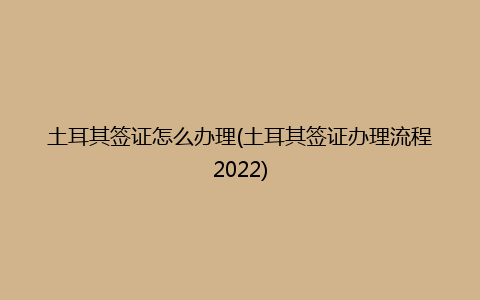 土耳其签证怎么办理(土耳其签证办理流程2022)