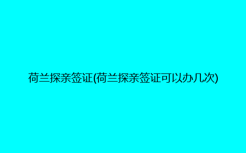 荷兰探亲签证(荷兰探亲签证可以办几次)