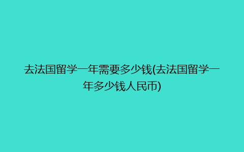 去法国留学一年需要多少钱(去法国留学一年多少钱人民币)