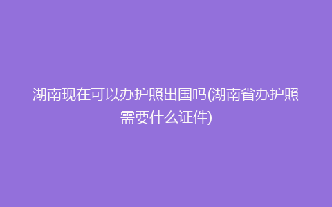 湖南现在可以办护照出国吗(湖南省办护照需要什么证件)