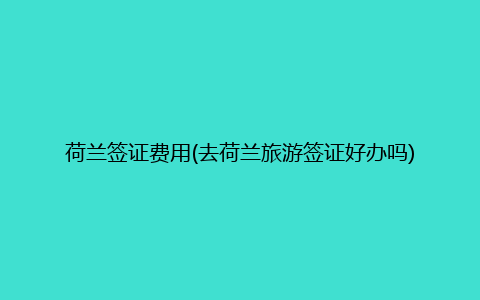 荷兰签证费用(去荷兰旅游签证好办吗)