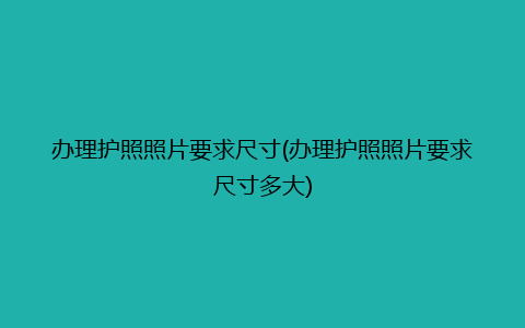 办理护照照片要求尺寸(办理护照照片要求尺寸多大)