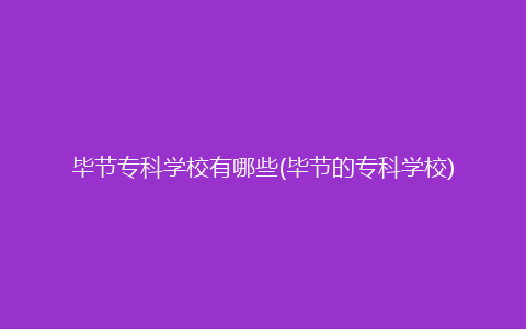 毕节专科学校有哪些(毕节的专科学校)