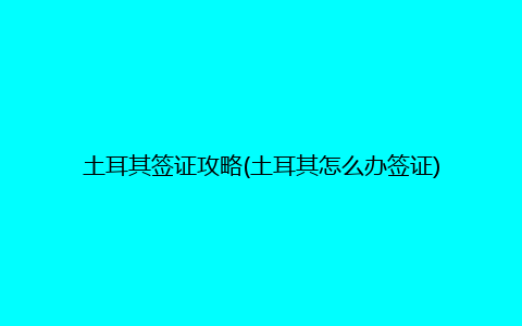 土耳其签证攻略(土耳其怎么办签证)