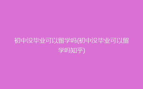 初中没毕业可以留学吗(初中没毕业可以留学吗知乎)